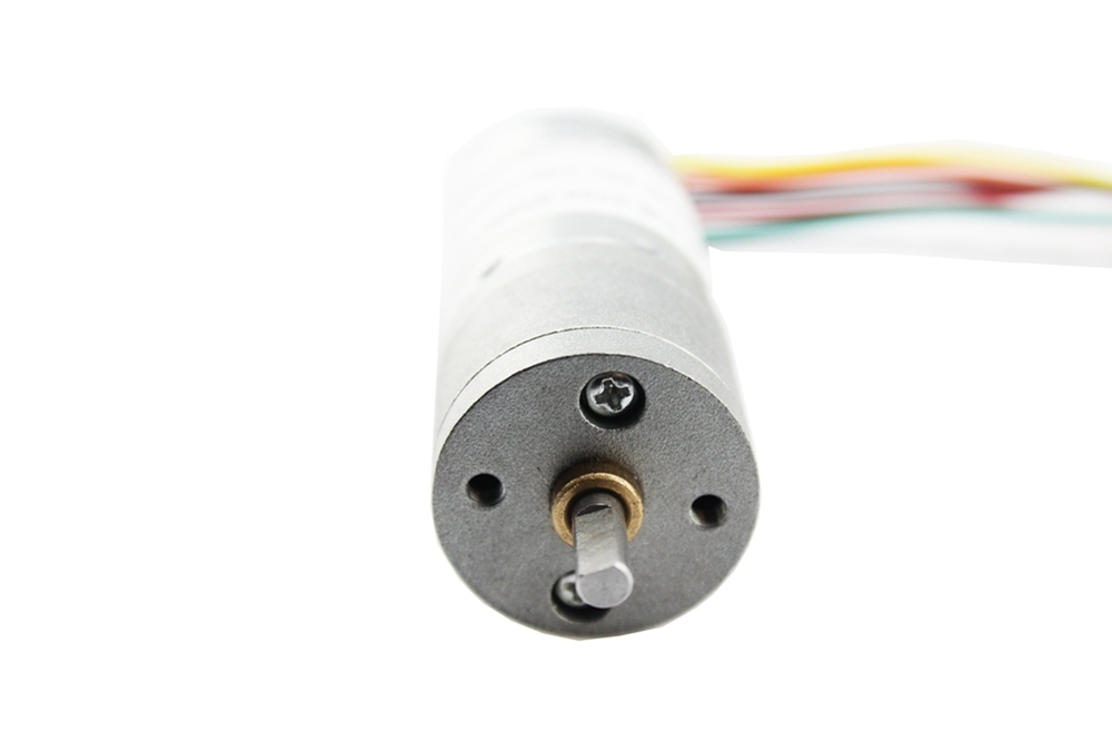 DC6-24v Gear Motor with Encoder