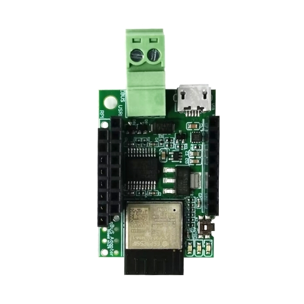 VOLVO cedrus  libani abies pinsapo 苗 VOLVO様専用 cedrus libani abies pinsapo 苗 【公式通販】