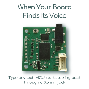 TinyTTS kit: The First Neural Speech Module