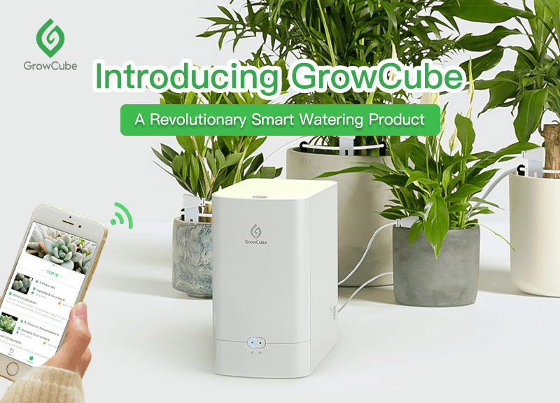 GrowCube: A Super Smart Watering Kit Will Be On Kickstarter