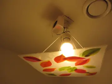 Automatic WC bird song player