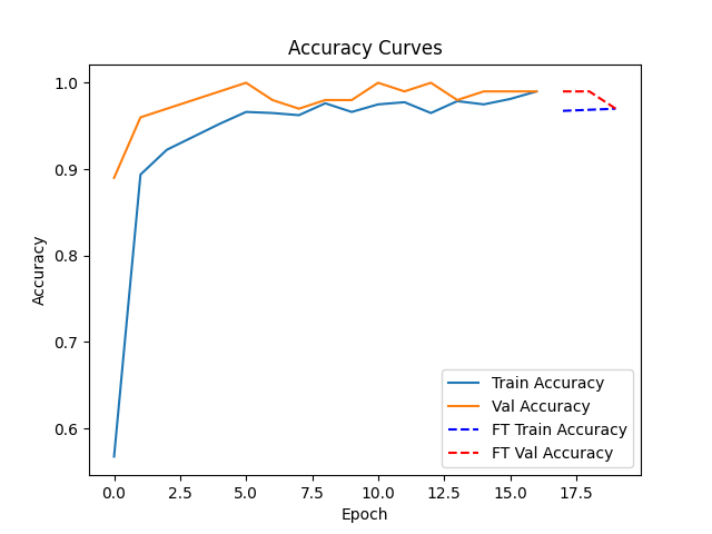 training x validation accuracy curve