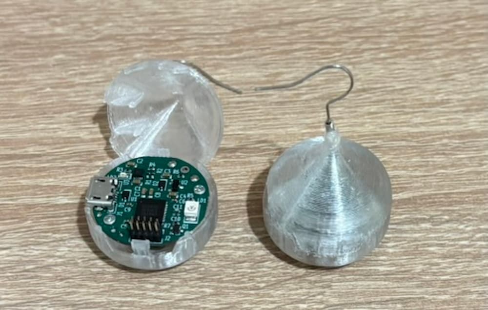Earring1