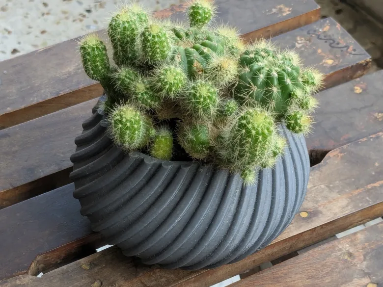 Spiral Cactus Pot – A 3D Printed Minimalist Design