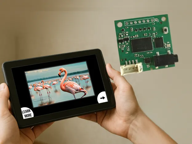 Build a Talking Quiz About Animals