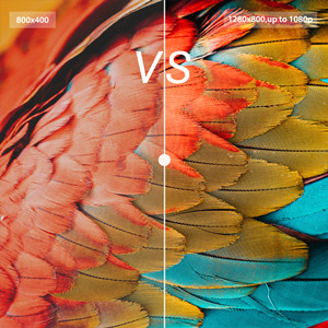 resolution comparision of 8 inch monitor