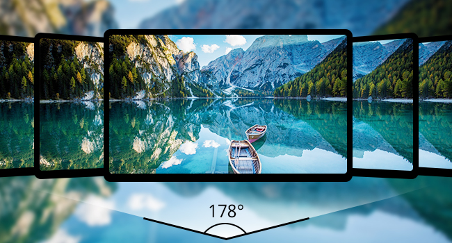 10.1 inch monitor support 178 viewing angles