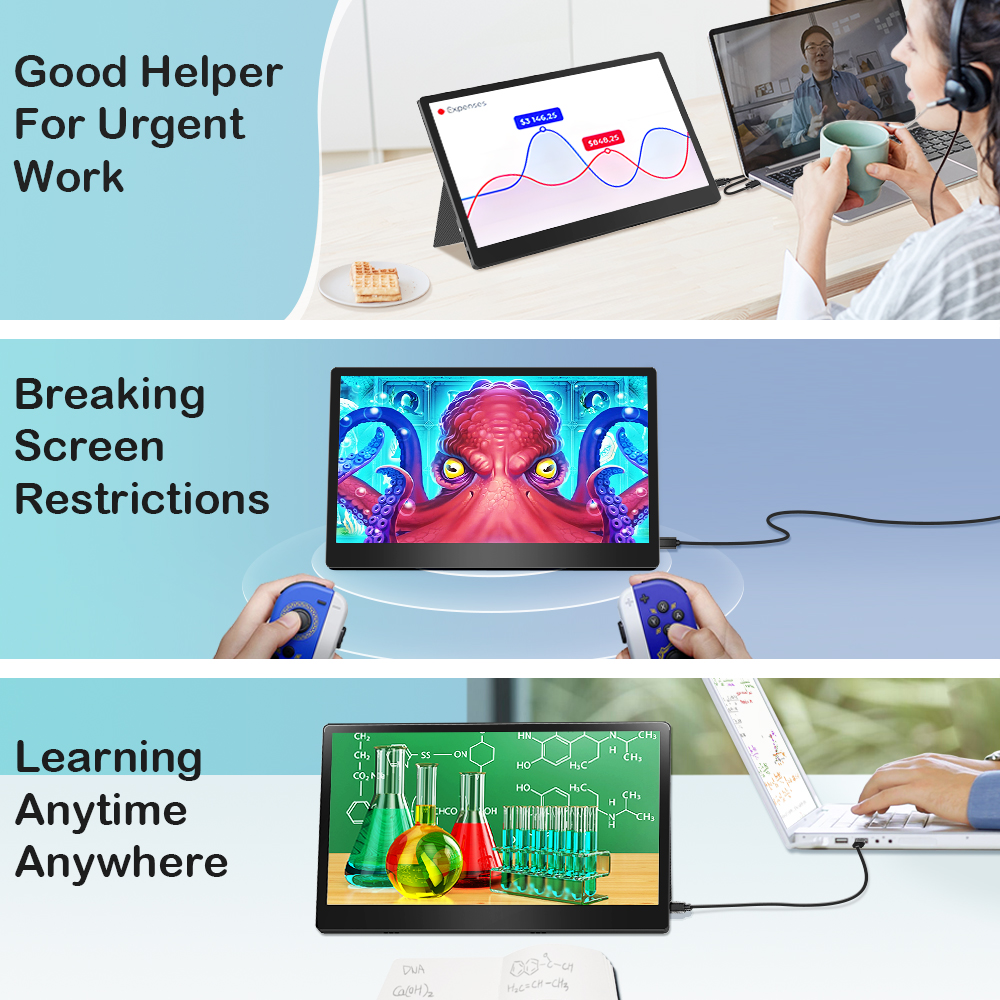 multiple applications of 15.6 inch monitor