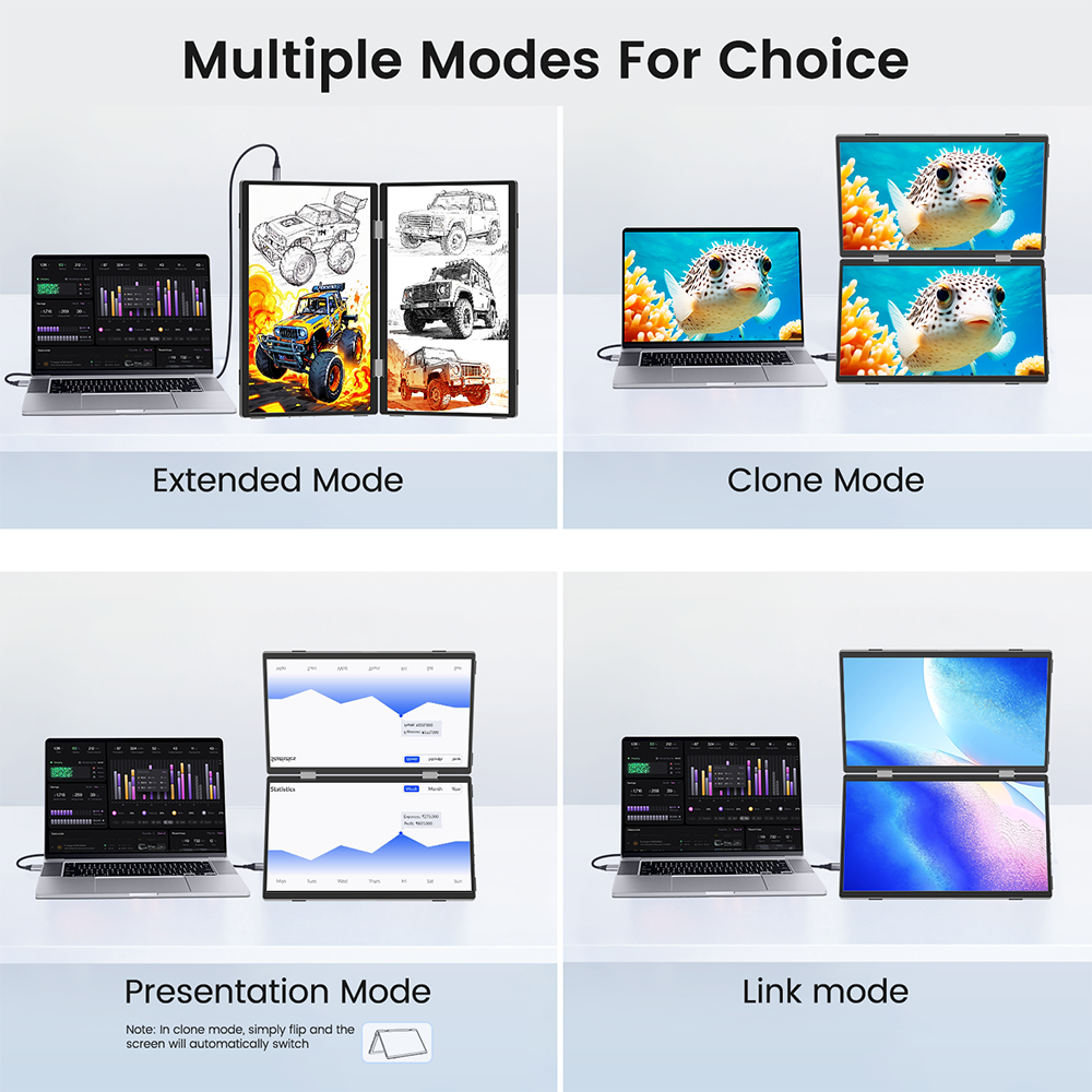Multiple Modes for Choice