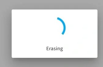 Waiting for flash erase