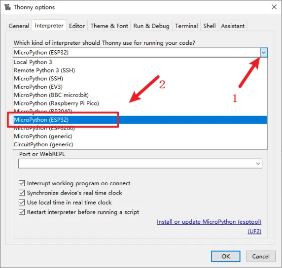 Thonny-5.webp