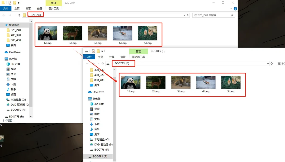 Copy the BMP images to the SD card