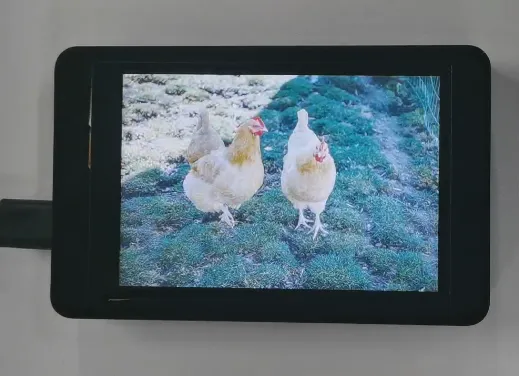 Display effect of the 5th image